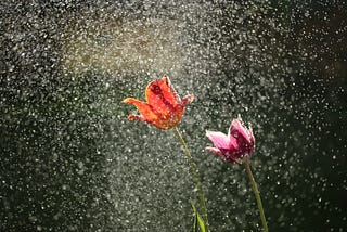 Dancing in the Rain