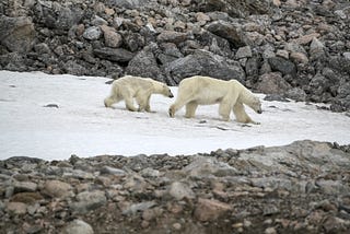 The Bullseye of Global Warming is Melting Away