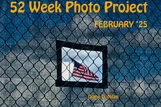 title page for 52 week photo project february 25