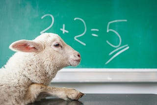 Sheep standing against table with “2+2=5” on a old fashioned green chalkboard in the background.