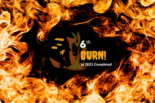 6th Shopaneum Tokens burning 🔥📣
