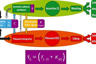 Dopamine, the Thermometer and Thermostat of Value