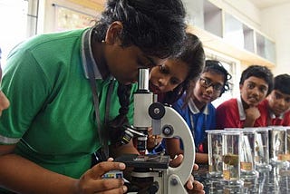 Story- Rohan and the silkworm
