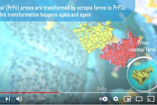 What are Prions?