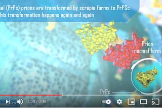 What are Prions?