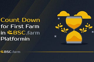Counting down for first farm in bsc.farm platform