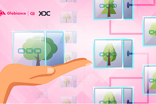 Exploring Blockchain’s Sustainable Technology with XinFin, Globiance & the XDC Network