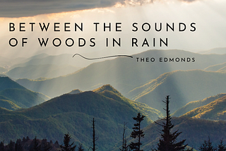 Between the Sounds of Woods in Rain