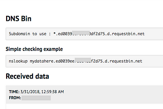 DNS Data exfiltration — What is this and How to use?