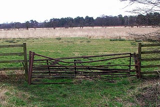 The Guardians of Culture Who Missed It…