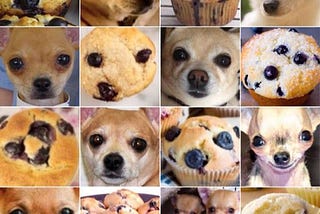 Chihuahua or Muffin?