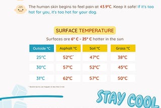 Ouch! How Hot Is Too Hot for a Dog This Summer?