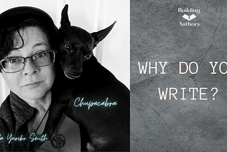 WHY DO YOU WRITE?