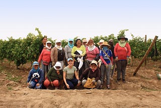 Bodega Murga — vinos naturales en Perú