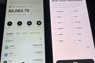 Please I have a question: my Crypto. wallet Okx holds 5500 USDT, and I have the 12 seed phrase: