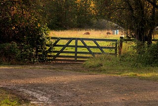 Removing the Obstacles | #MyFridayStory №402