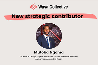 New Strategic Contributor: Mutoba Ngoma