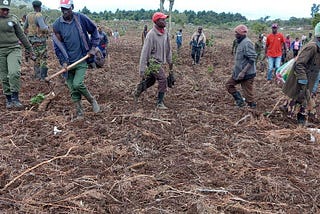 Carbon Finance for Community Based Resilience in Africa