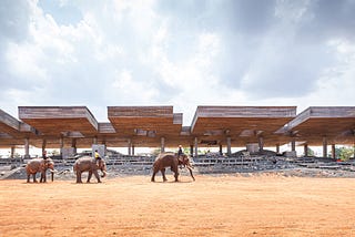 Bangkok project studio creates ‘cultural courtyard’ for elephants + humans in Thailand