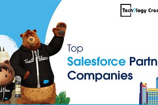 Salesforce Partner Companies