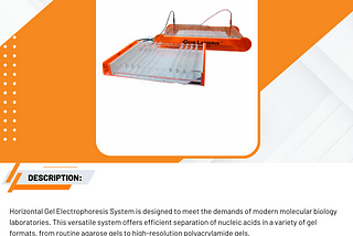 Horizontal Gel Electrophoresis