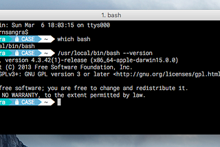 Custom Bash prompt in Linux/Mac