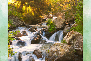 Sunlight shines through the treetops that stand over the stream, which rushes over several large rocks and boulders.