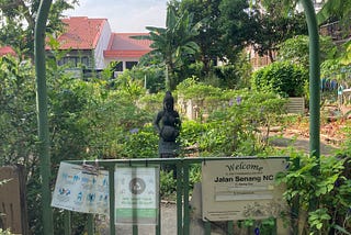 These are a few of my favorite things about community gardens