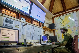 How space is helping revolutionise wildlife conservation