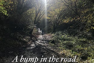 A bump in the road