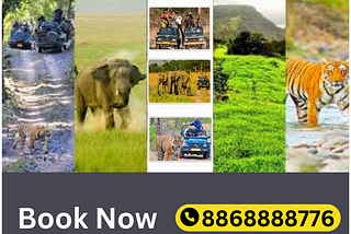 Explore Wilds Stimulating Jim Corbett Packages for Adventure Seekers