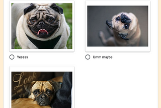 Tips for Creating a Better Survey Experience