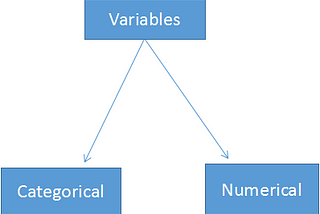 Variables For Data Science