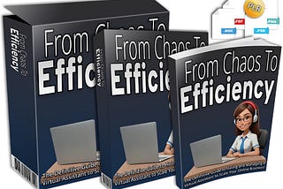 (PLR) From Chaos to Efficiency Review