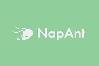 NapAnt Story: Visualize the Productivity of your Engineering Team
