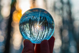 An upside down reflection of a snowy, sunlit forest in a glass sphere.