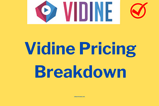 Vidine Pricing Breakdown: new 2024 Updated plans