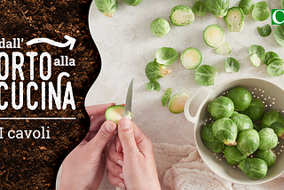 Dall’orto alla cucina -   I cavoli