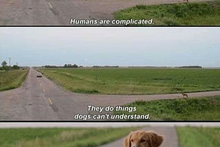 Why do humans leave?