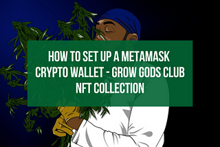 How to Set up a Metamask Crypto Wallet