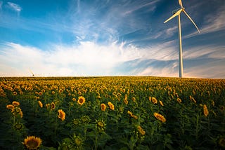 Going green with your dollars