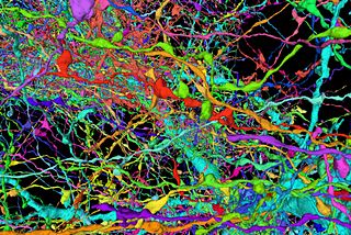 Mind Blowing 3-D Microscopic Brain Images