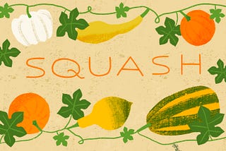 Veg to Table: Squash