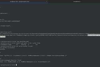 Squid MITM proxy with dynamic URL acceptance