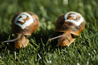 Two snails are crawling on green grass, each with a number painted in white on its shell — one labeled “2” and the other “1” — as if participating in a humorous snail race.