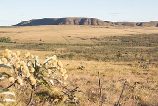 Indigenous Leader Faces Murder Attempt, Death Threats Amid Intensifying Land Grabbing and…