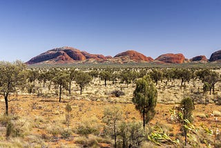 The Diverse Ecosystems of the Australian Outback