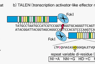 TALENs Gene Editing in Plants