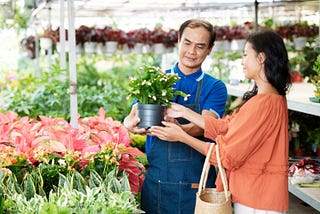 The Perfect Timing for Plant Shopping: A Gardening Guide.