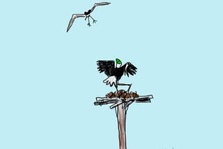 Osprey wearing a Mouse ear’s hat swoops down with talons out. An eagle, wearing a green ball cap, balances on perch with wings extended looking up at osprey. The perch is a large nest on top of a pole..
